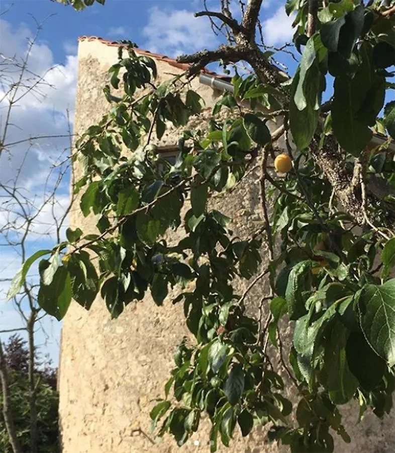 L'Insolite Et Medievale Tour Yselda Saint-Pourcain-sur-Sioule