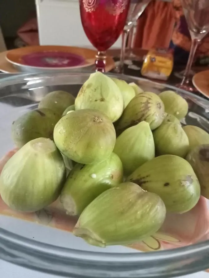 L'Insolite Et Medievale Tour Yselda Saint-Pourçain-sur-Sioule Francia